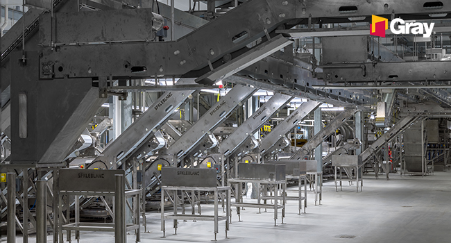 Automation: Redefining Food Processing