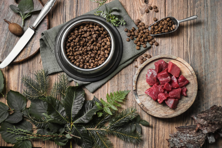 Data's Role in HighMeat Pet Food News & Insights Gray