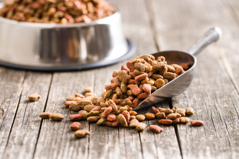 Five Pet Food Trends Driving Future Growth News & Insights Gray